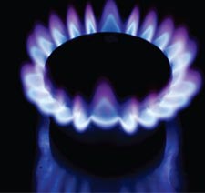 Reticulated Gas Supply